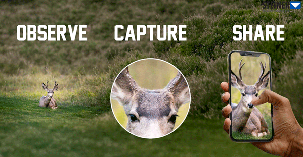 NL-4-600_eDiscovery_10x42_av