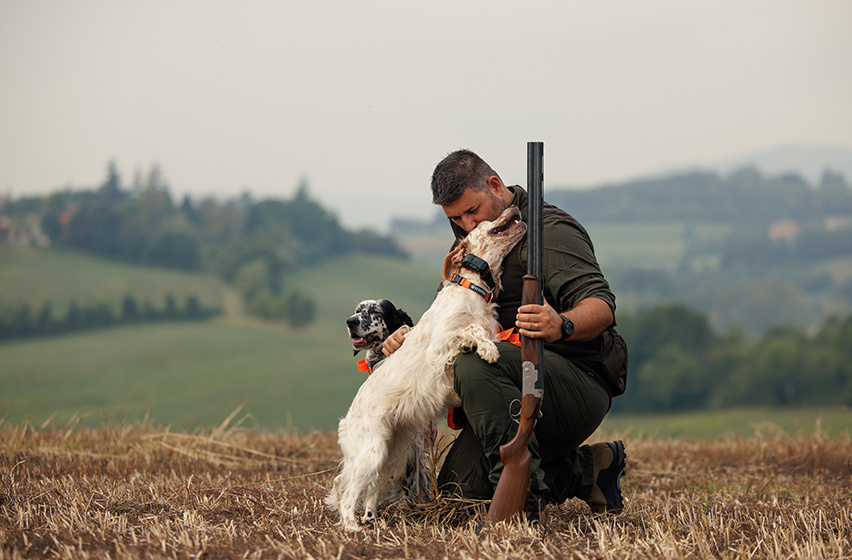 Beretta Firearms Catalog